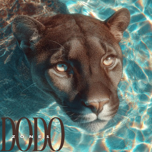 DoDo