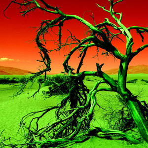 Terre De Feu