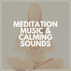 Meditation Music & Calming Sounds album