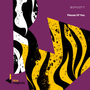 Pieces Of You by Boycott