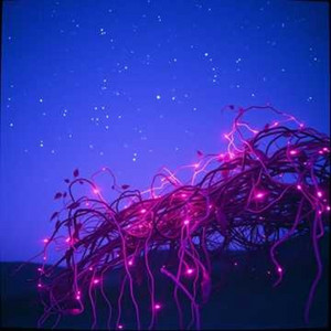 Blue Light by Oliar Plius