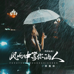 风雨中等你的人 - Dj京仔粤语金曲版 by 蒋蕙林, 京仔