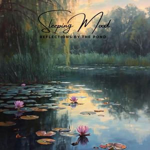 Calming Reflections by the Pond for Sleeping Mood by Mosalu