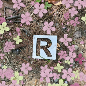 RÓSICLER - rapunzel