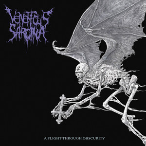 album cover: A Flight Through Obscurity