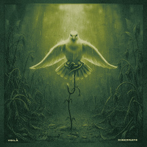 Hibernate by VOILÀ