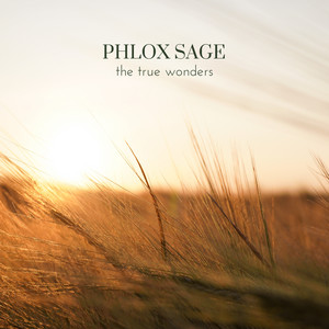 The True Wonders by Phlox Sage