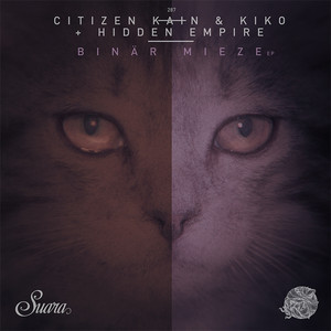 Binär Mieze cover art