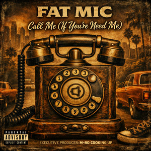 Call Me (If You Need Me) by Fat MIC