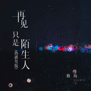 修海 - 再见只是陌生人 (热播男版)