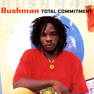 Higher Ground - Album by Bushman | Spotify