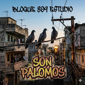 SON PALOMOS by BLOQUE 809 ESTUDIO
