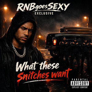 What These Snitches Want by RNBgoesSEXY, Markus Wolf