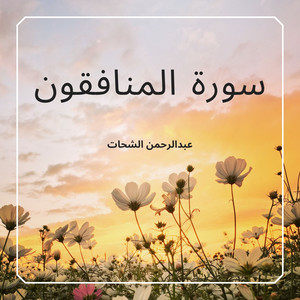 سورة المنافقون by عبدالرحمن الشحات