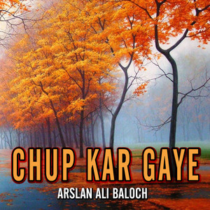 Arslan Ali - Chup Kar Gaye
