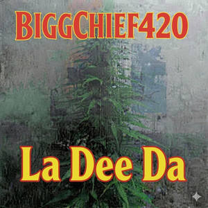 Bigg Chief 420 | Spotify