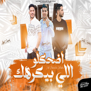 اللى بيكرهك by طارق شئلشه, امير قاسم, عادل صانوه