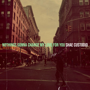 Nothings Gonna Change My Love for You
