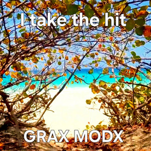 I take the hit by GRAX MODX