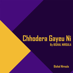 BISHAL NIROULA - Chhodera Gayeu Ni