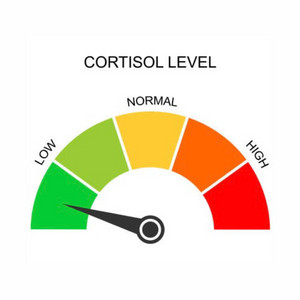 Low Cortisol by Logan Søul
