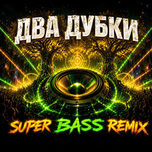 Dva Dubky - Boost Bass Remix 2026 by OKMusicStudioAlex