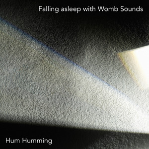 Falling asleep with Womb Sounds