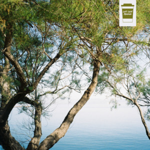 Agave by lov sum, Beach Pomodoros