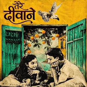 Tere Deewane by Mc Flu