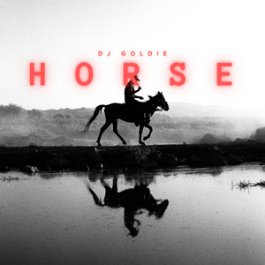 HORSE by DJ Goldie