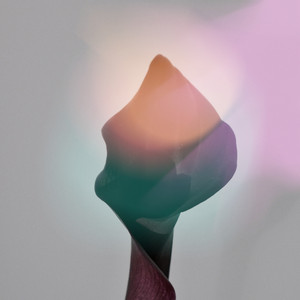 backlit by Aunne