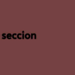 seccion by Nuevo guerillo