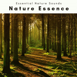 A Nature Essence album