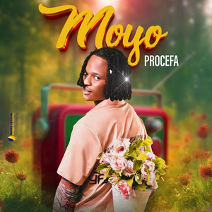 Procefa - Moyo
