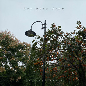 Not Your Song by Claircognizance