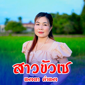 แพงตา คำแพง - สาวขัวเช