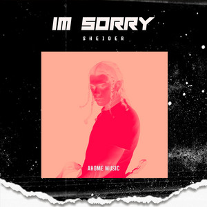 I'm Sorry by Sheider