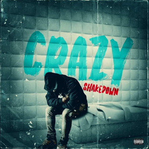 Crazy by Shake Down, YP Engineering