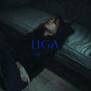 Liga by Jake088