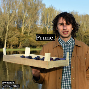 Portada de Prune