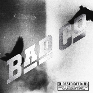 Bad Company by Reezy F. Baby