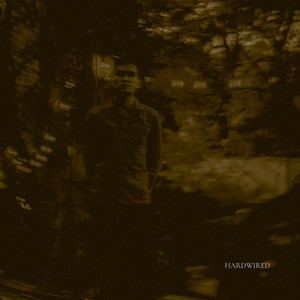 Hardwired (acoustic version) by Fabrizio