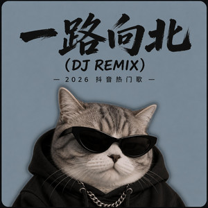 一路向北 - DJ NIA PET Remix by GK MUSIC