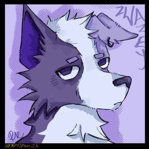 Stare by ZWAZEY