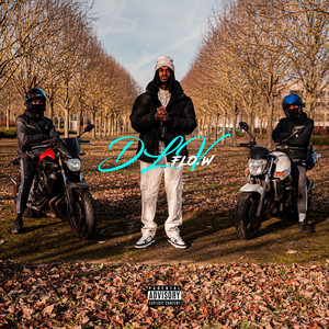 Portada de DLV