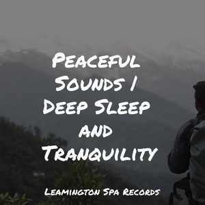 Peaceful Sounds | Deep Sleep and Tranquility album