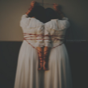 the queen of carrot flowers - Gravity Could Teach Me Something