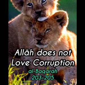 2, Surah Al-Baqarah: 203-205 by mylordtakemeaway