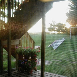 last days of summer
