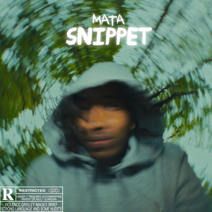 Snippet by Mata
